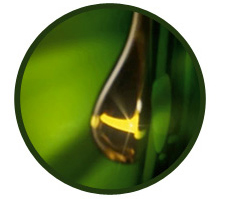 Essensity hair color available at St. James Place Salon